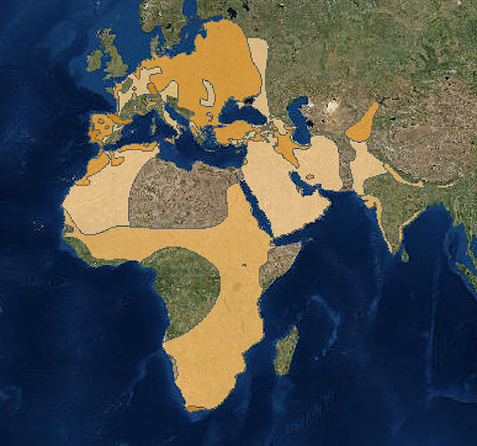 areale distribuzione cicogne